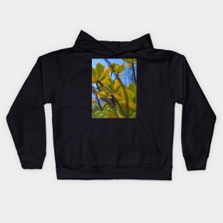 Red mangrove Kids Hoodie